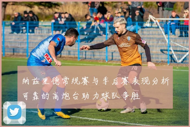 纳兹里德常规赛与季后赛表现分析可靠的高炮台助力球队争胜